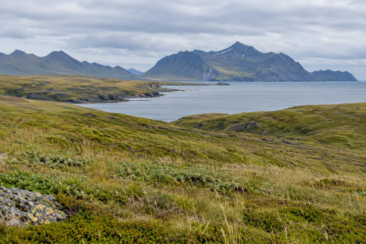 Treeless coastal tundra overlooking a calm inlet and rugged mountains
