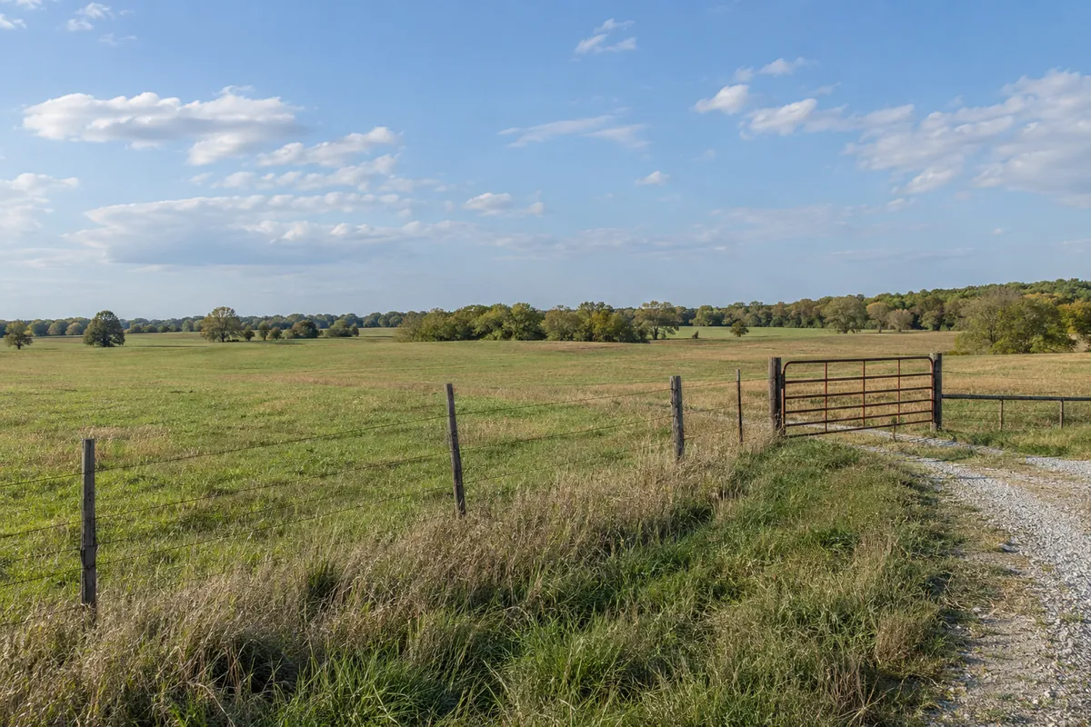 Grassy pasture with a metal farm gate, wire fence and gravel entrance