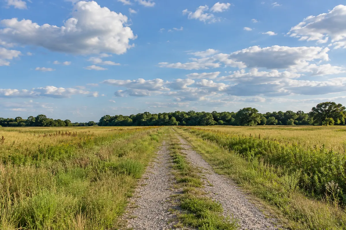 Gravel track through an open grassy field with trees along the edge