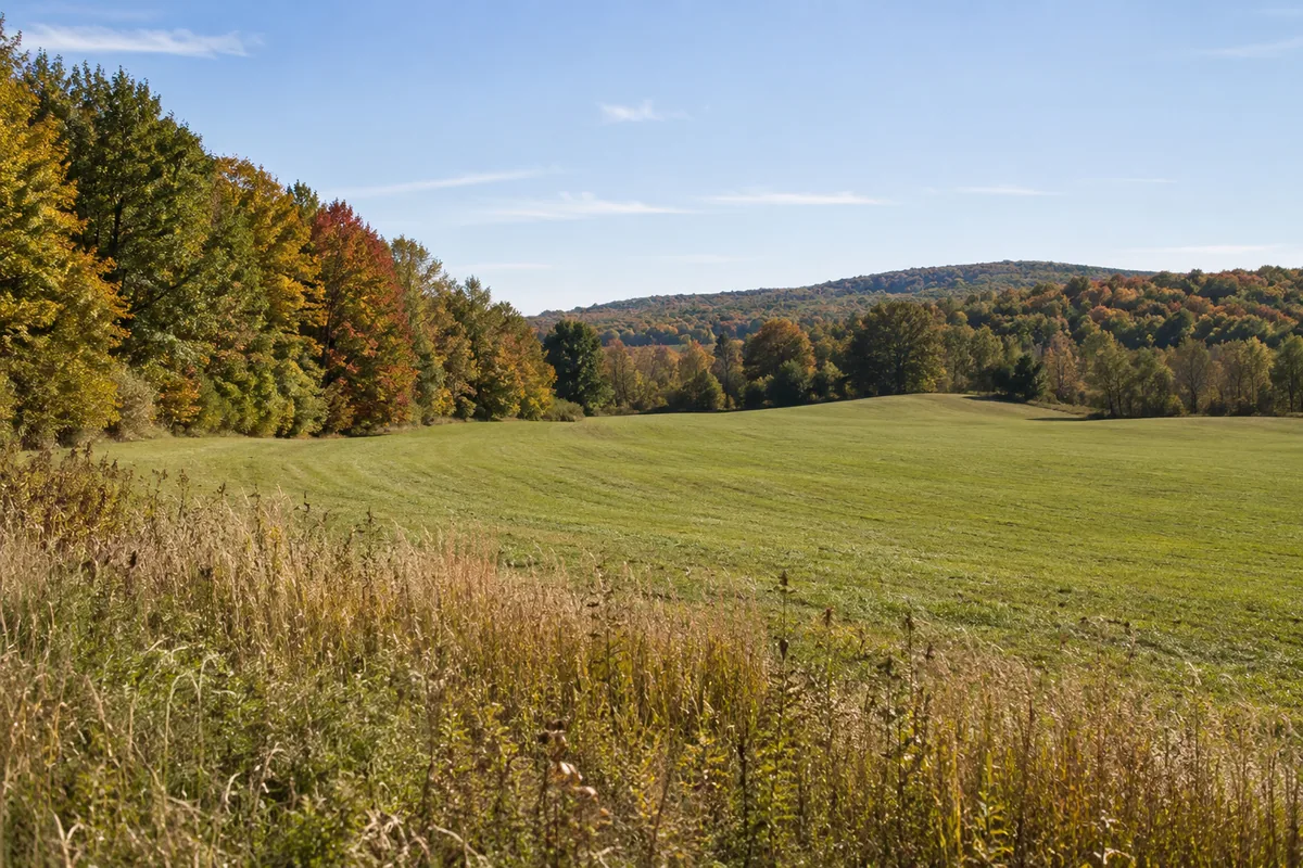 A broad cut grassy field beside a woodland edge with early autumn leaves
