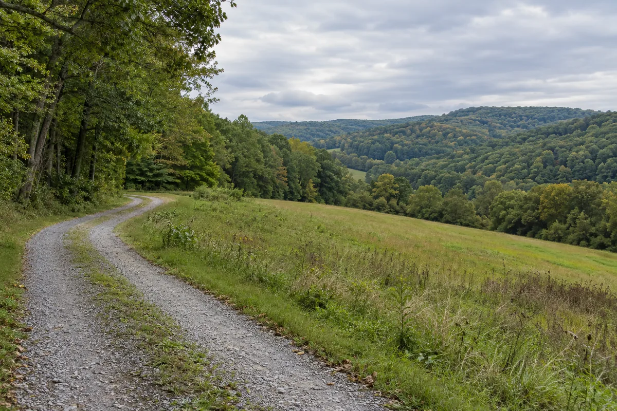 A curving gravel lane along a rolling meadow beside mature woodland and distant hills