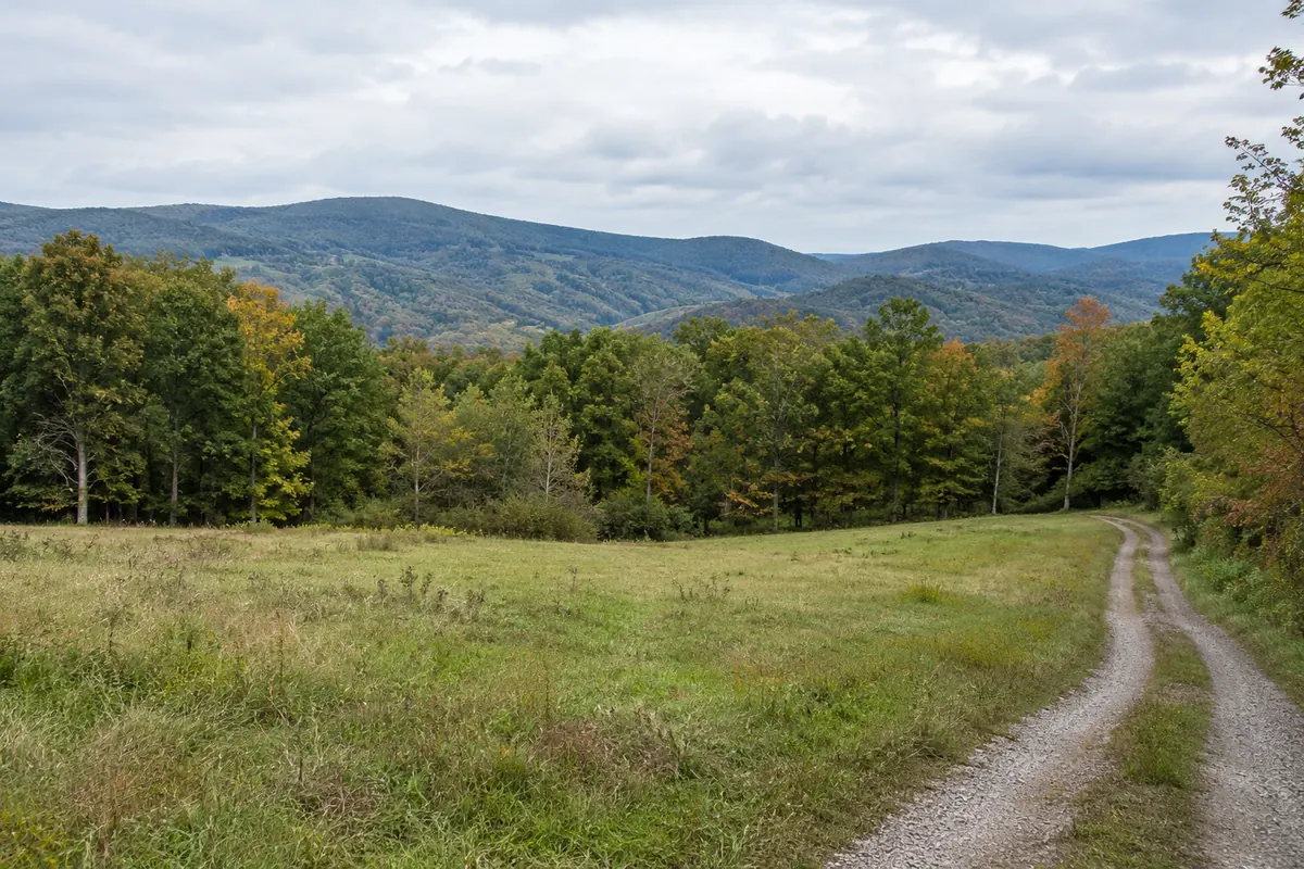 A grassy clearing and narrow gravel lane below wooded Appalachian ridges