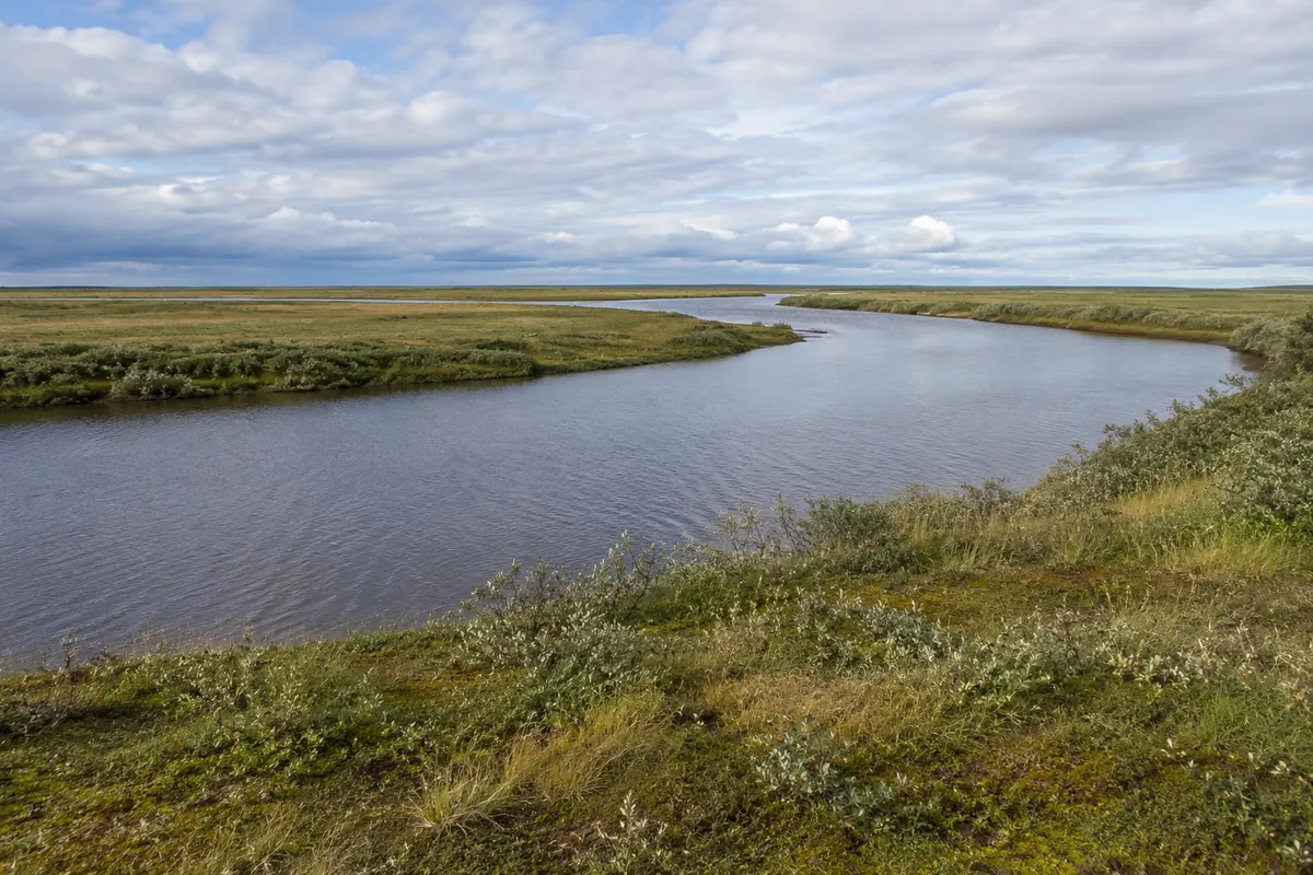 Quiet winding river beside flat open tundra and low shrubs