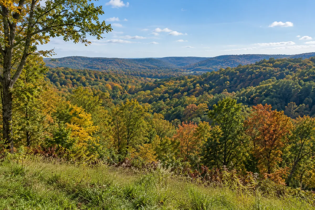Wooded rolling hills with early autumn color beneath a clear sky