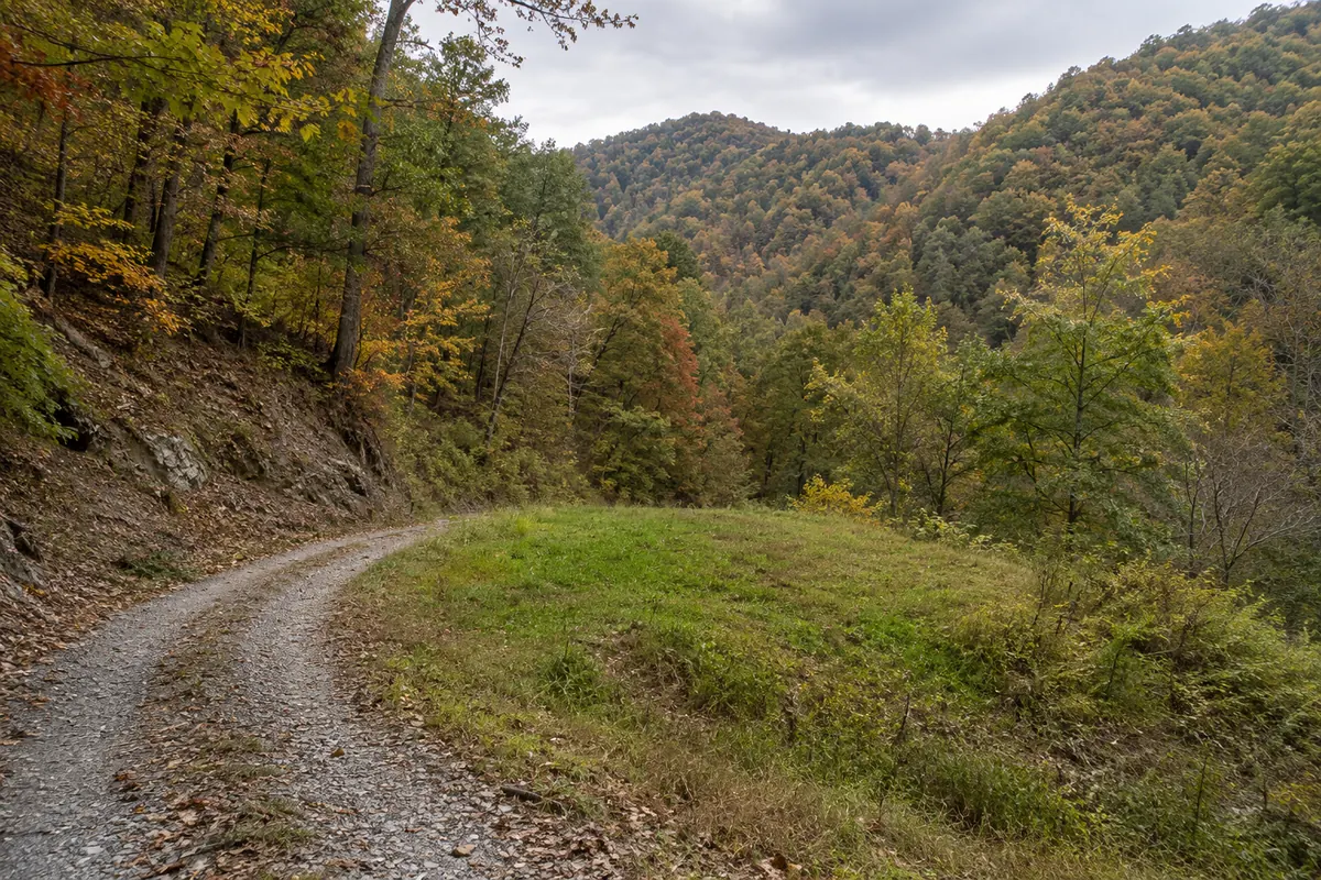 A narrow gravel track beside a small grassy bench on a steep wooded hillside