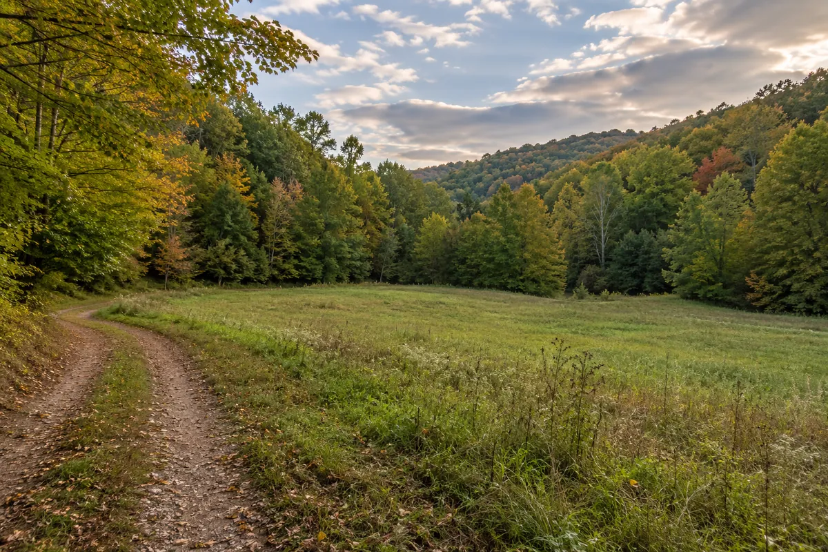Grassy clearing and a dirt lane beside rolling West Virginia wooded hills