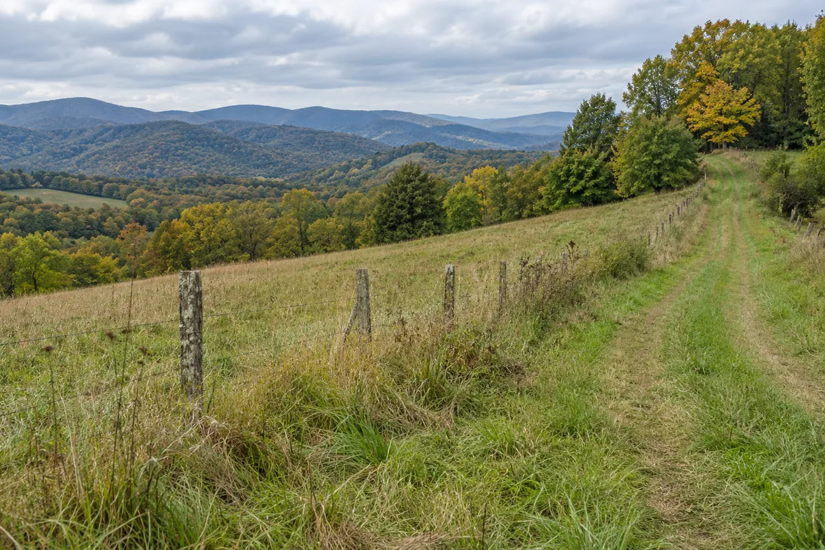 A grass farm track follows a fence across a sloping Virginia pasture toward mixed woods