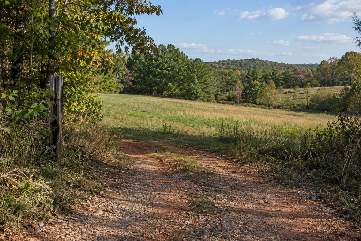 A red-clay gravel entrance leading to a rolling field bordered by oak and pine woods