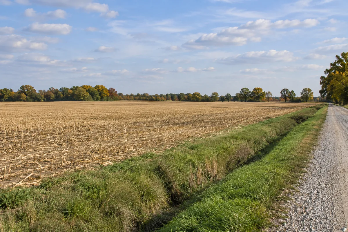 A flat harvested field beside a grassy drainage ditch and gravel lane