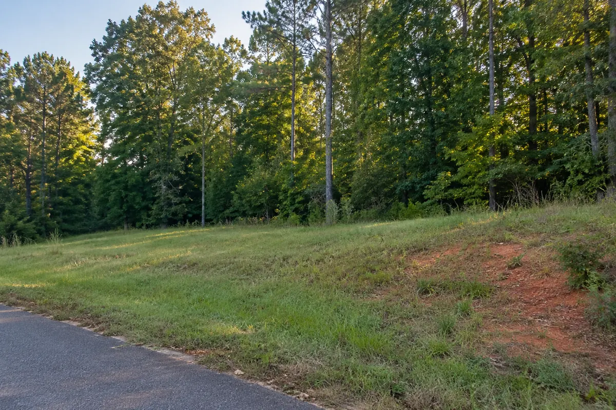 A grassy roadside lot with a red-clay edge and mixed hardwood trees