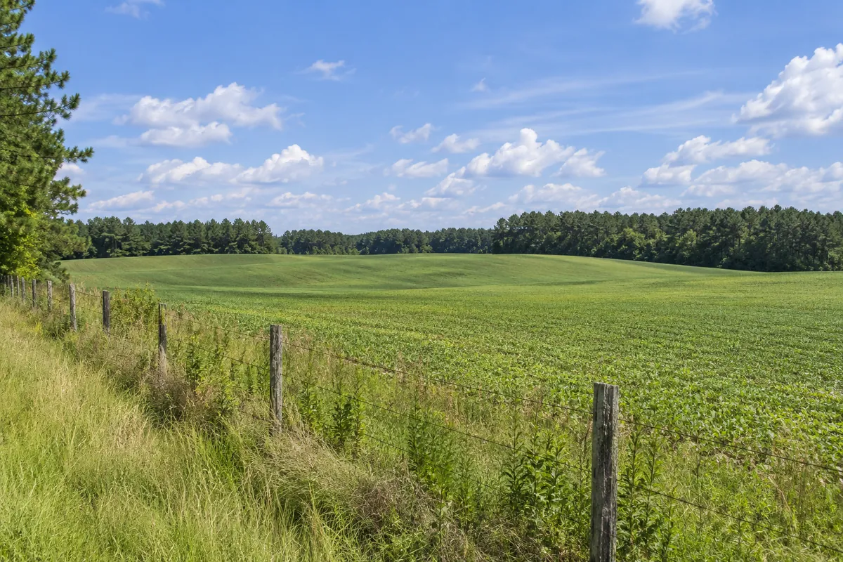 Open green farm field bordered by a fence and a distant tree line