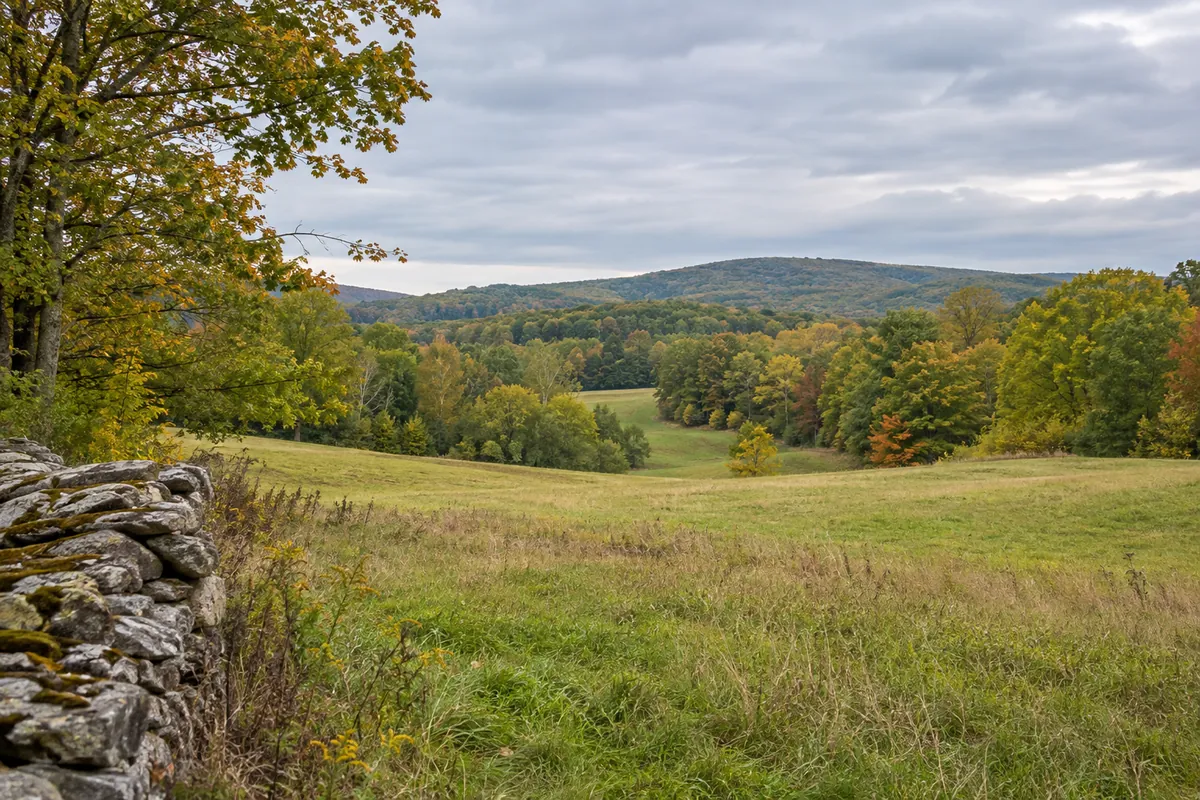 Open meadow beside a worn stone wall and low wooded hills