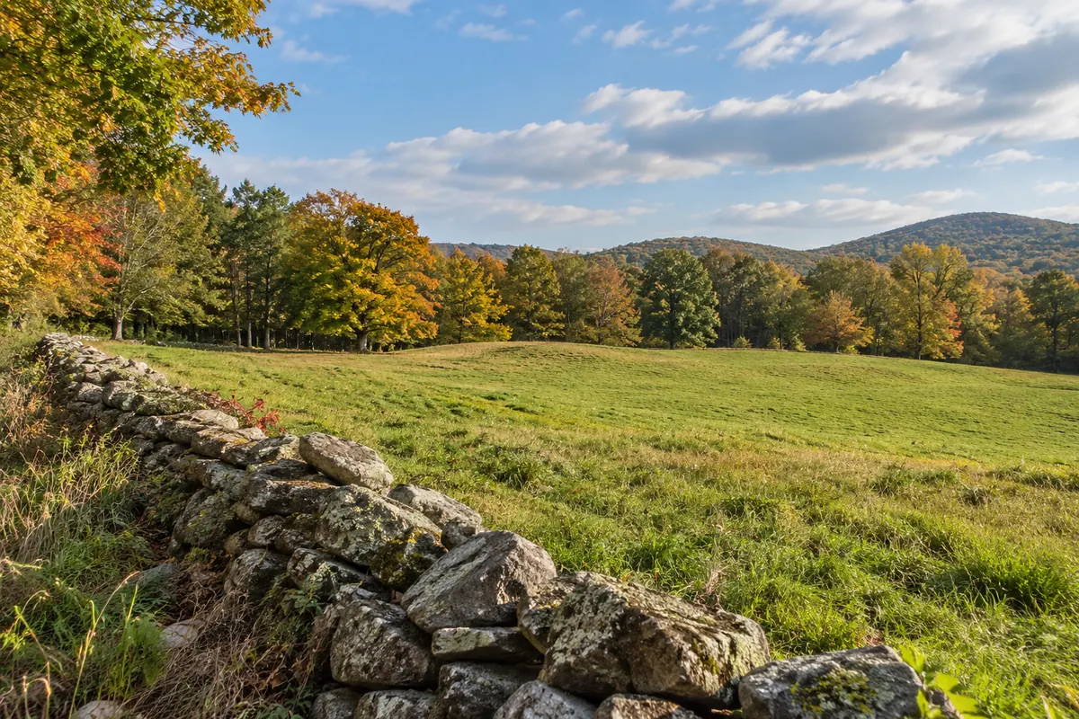 Open meadow beside an old stone wall and trees in fall colors