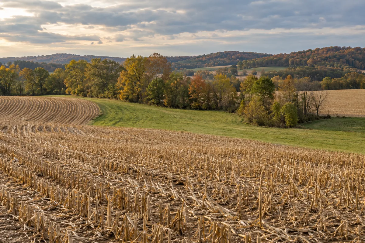 Rows of harvested corn stubble curve toward a grassy edge and wooded Ohio hills