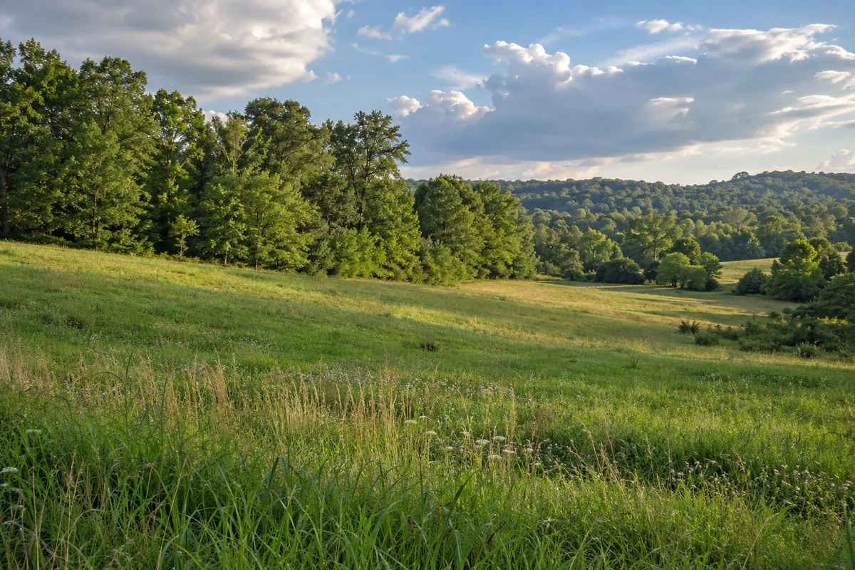 Rolling pasture bordered by hardwood trees in Middle Tennessee