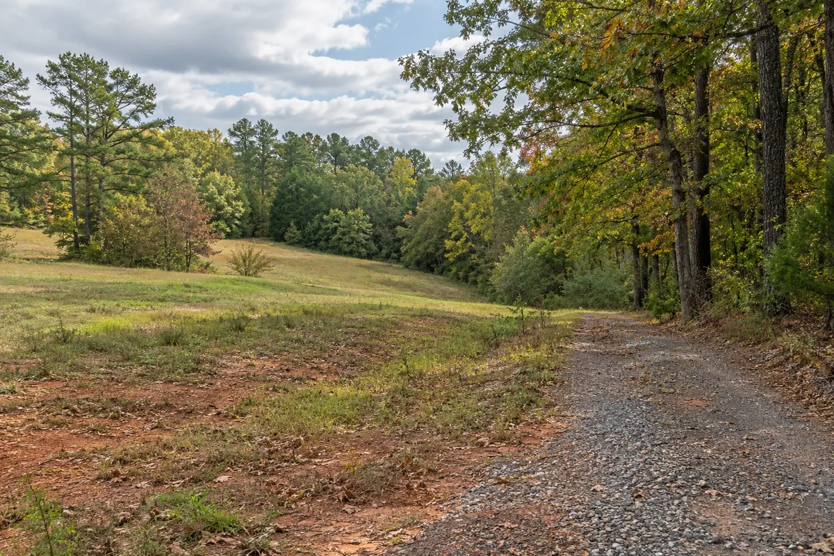 Gravel entrance beside a grassy clearing and mixed woodland