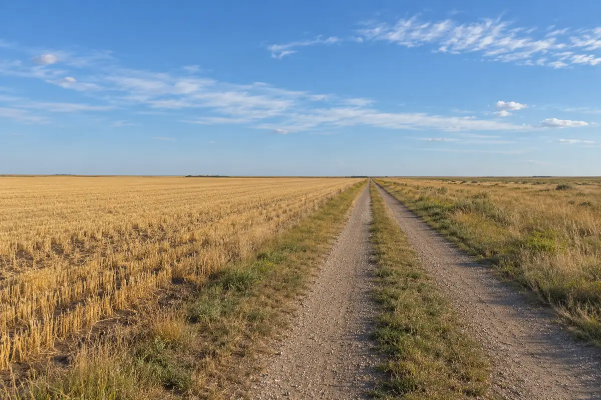 Gravel farm lane between a harvested field and flat grassland under a wide blue sky