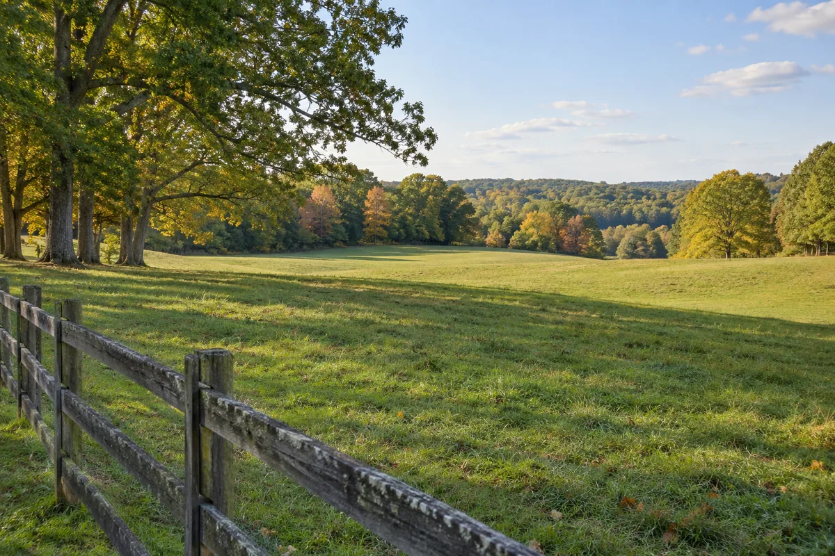 A wooden fence beside rolling pasture and mature oak trees