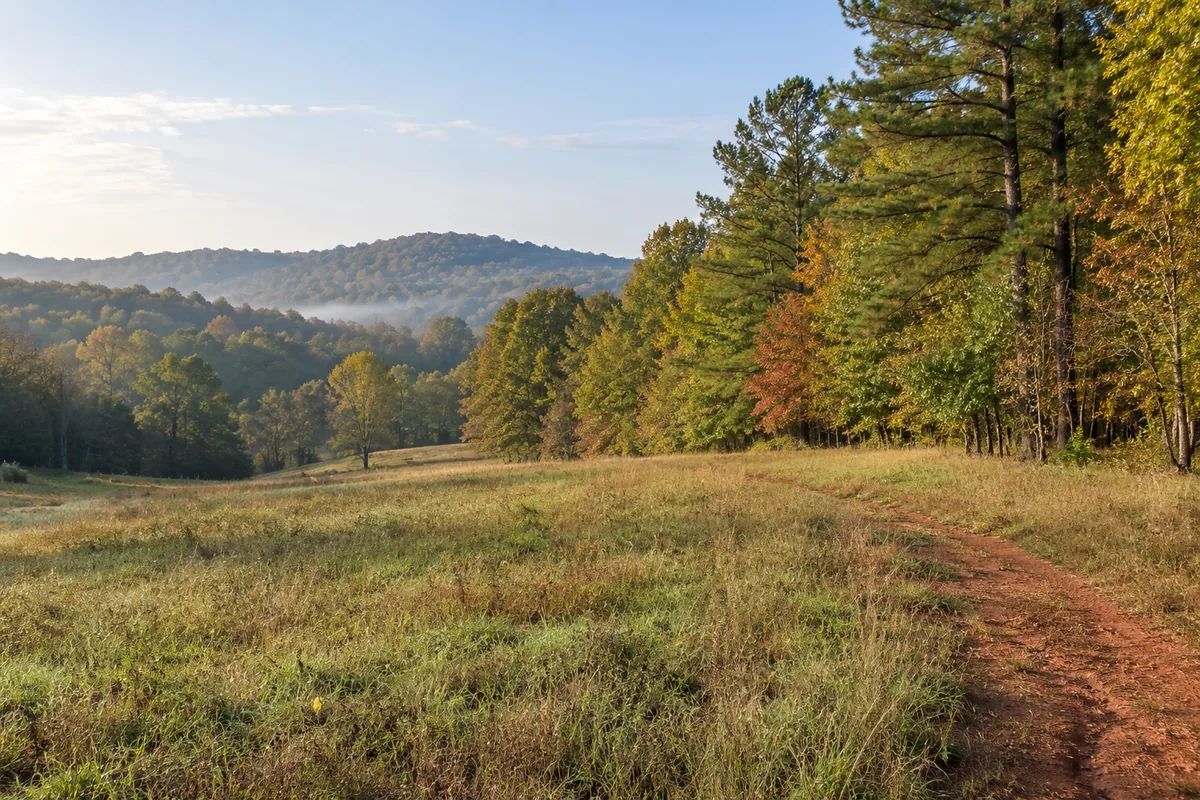 A red clay track crosses a gently sloping meadow beside tall pines and autumn woods