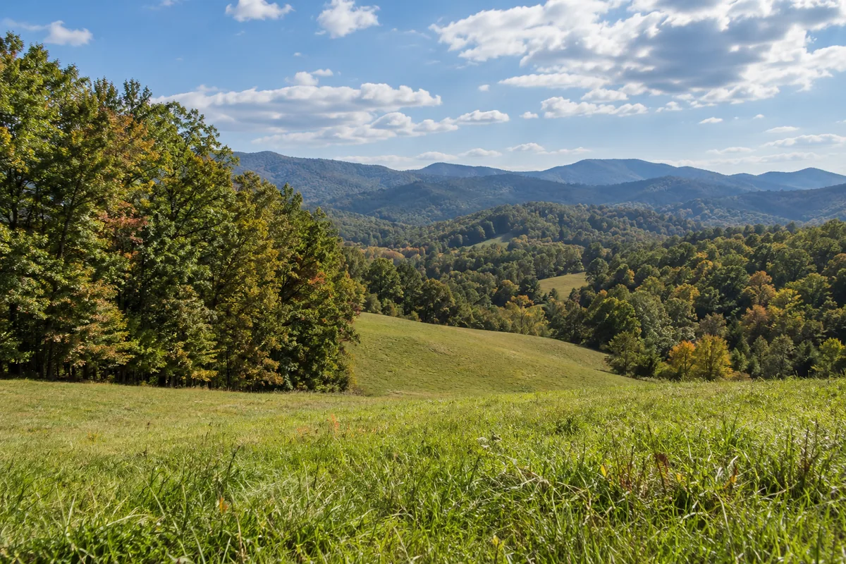 Rolling pasture beside wooded foothills