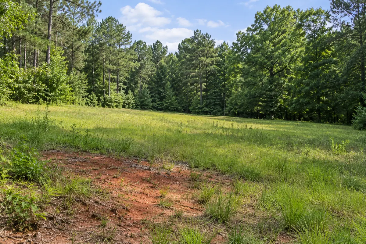A rolling green meadow meets pine and oak woods beside a small patch of red clay