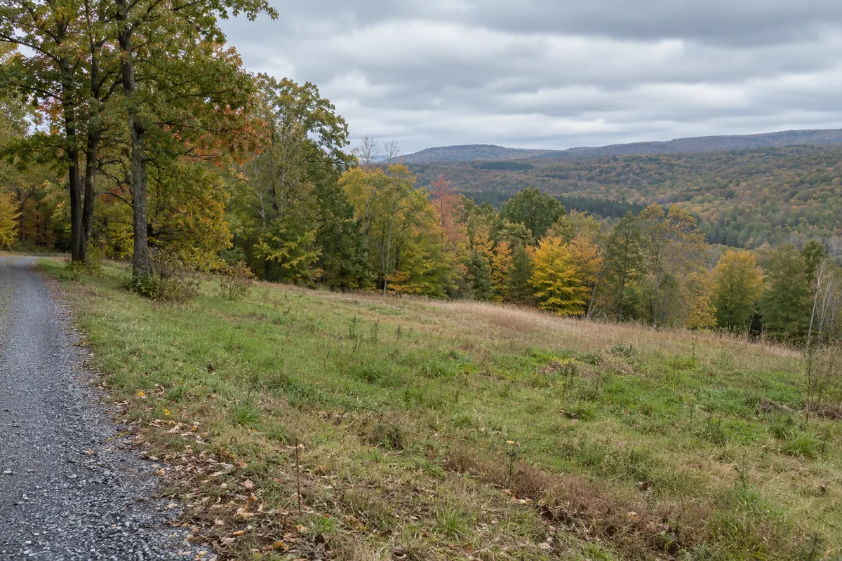 A rolling grassy clearing beside a gravel lane with autumn woods and low ridges beyond