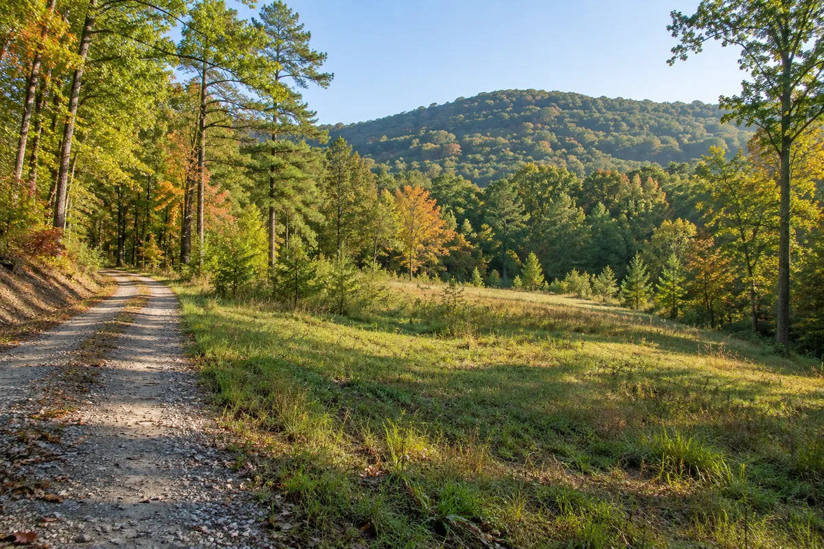 Gravel lane beside a grassy clearing and wooded hillside