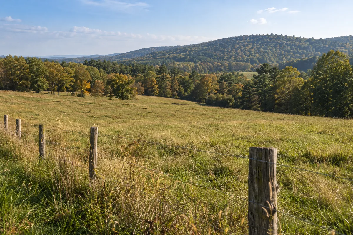 A broad rolling pasture with a wire fence and a wooded hillside in the distance