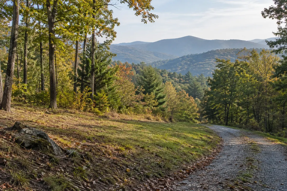 A gravel lane beside a wooded hillside clearing with distant mountain ridges