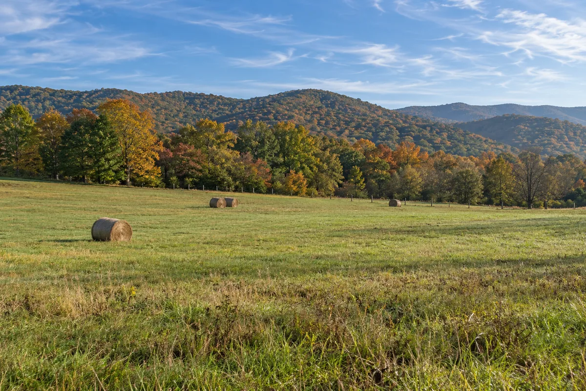 Round hay bales sit in a sloping pasture below wooded Tennessee foothills in autumn