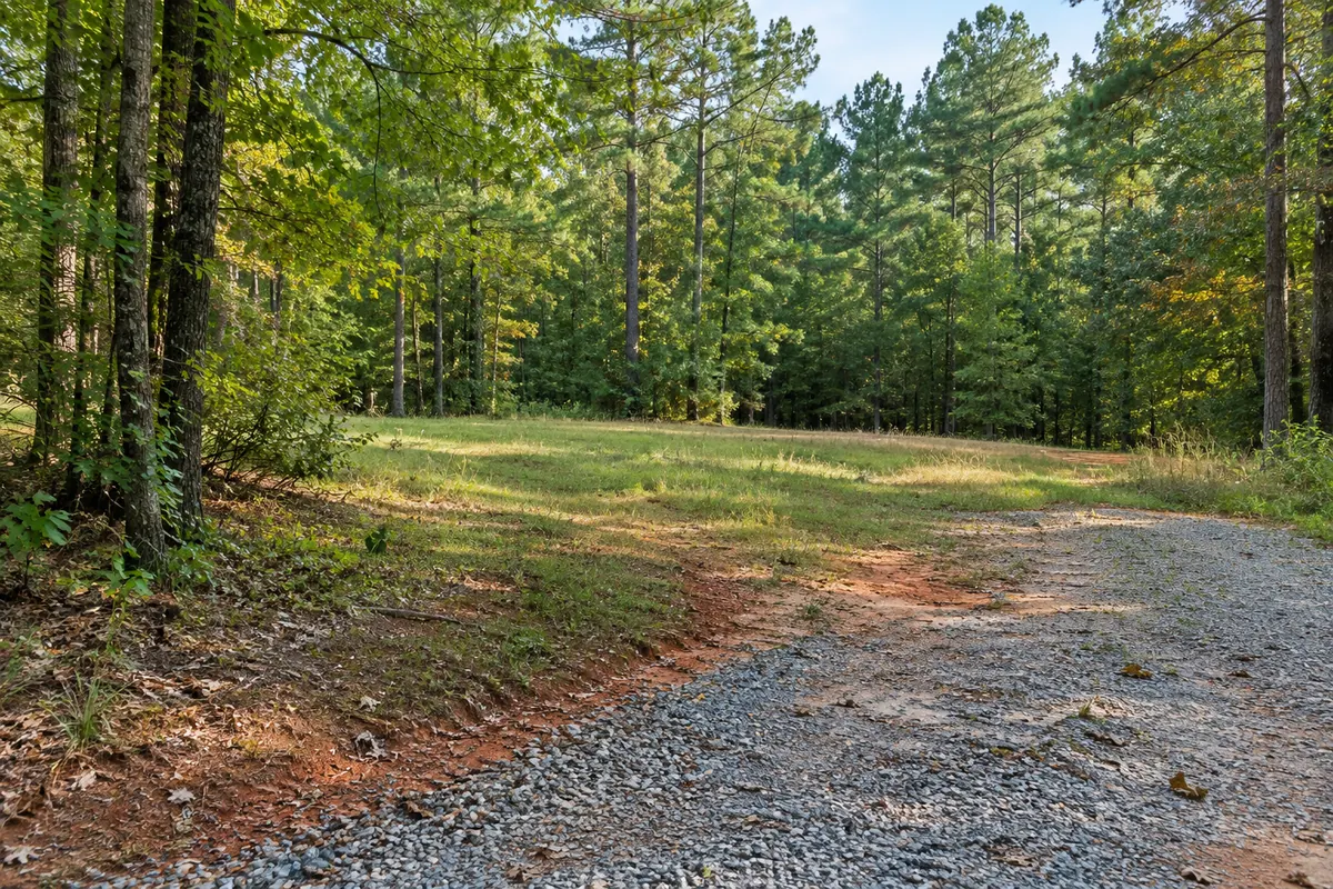 A gravel entry beside a small clearing bordered by pines and hardwood trees