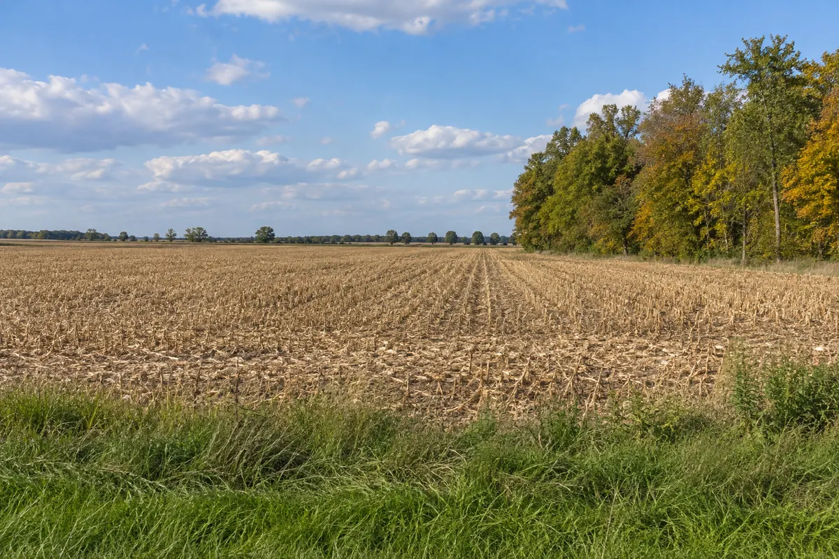 A harvested farm field beside a small woodlot