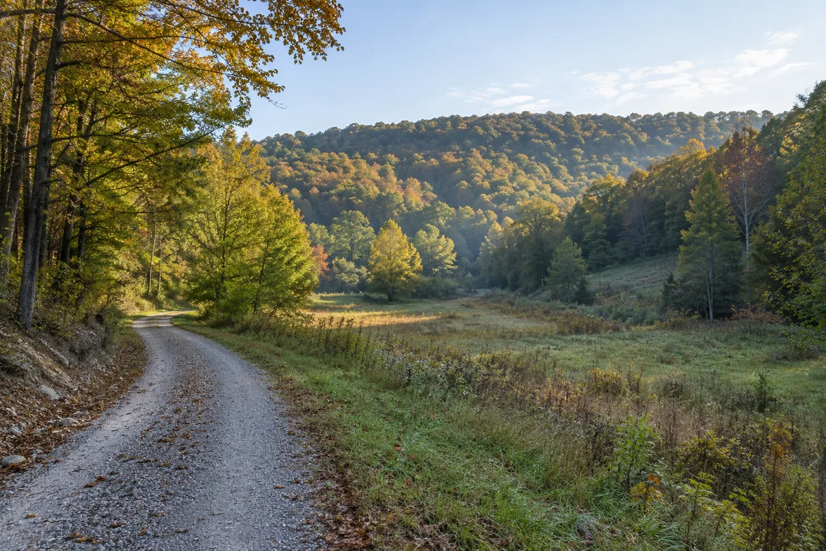 Gravel lane beside an open meadow and wooded hills