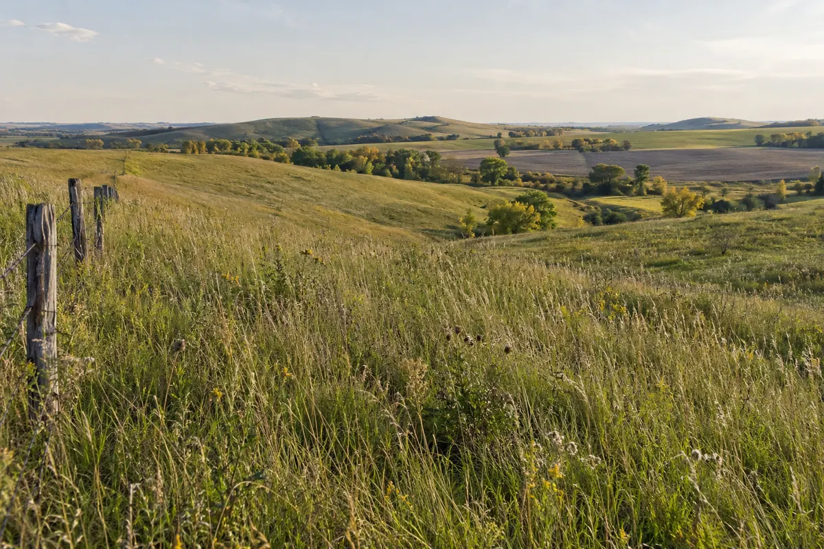 Pasture and farm fields with a fence and tree-lined low ground