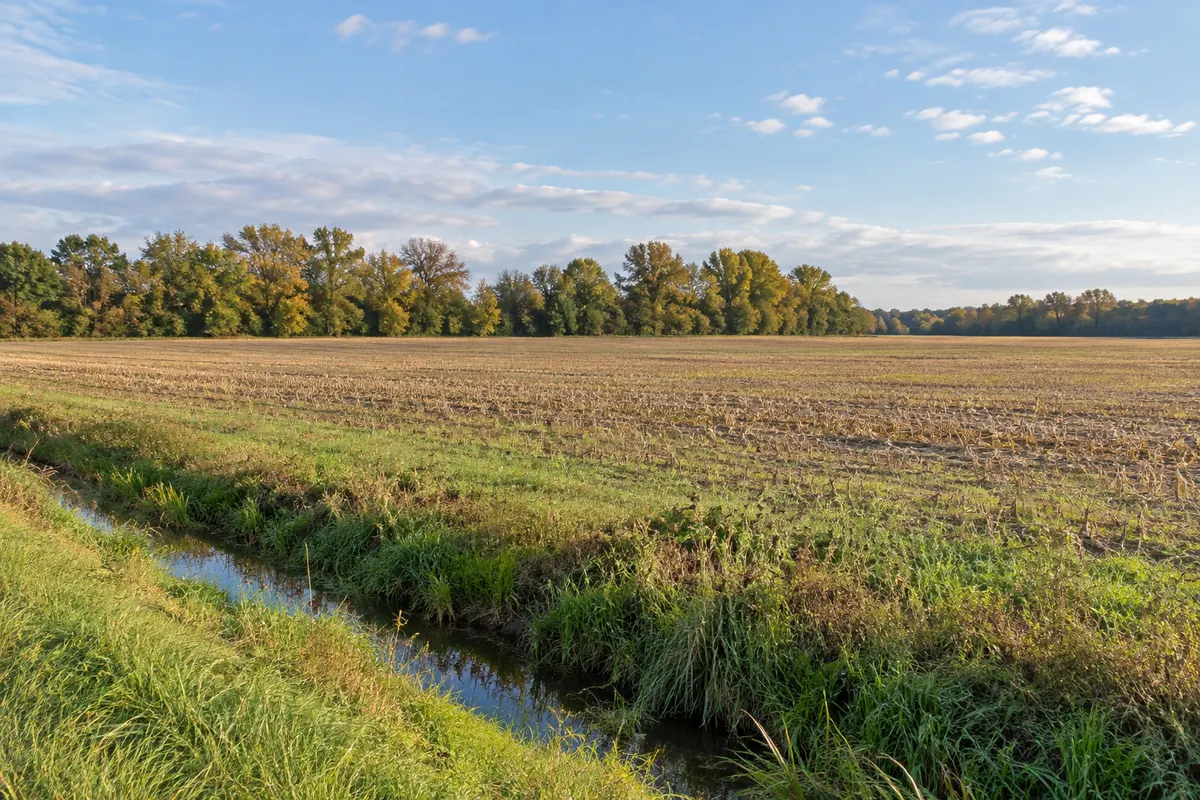 A flat stubble field beside a grassy drainage ditch and a distant tree line