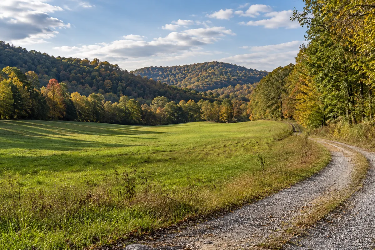 Green meadow beneath wooded foothills with a gravel farm lane