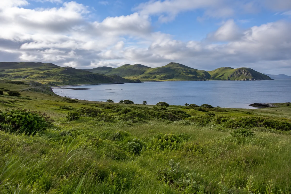 Green coastal meadow overlooking a quiet bay and rounded grassy hills