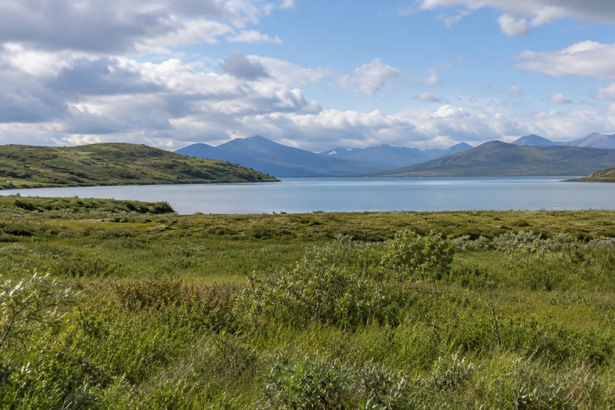 Open grassy meadow overlooking a calm lake and low green hills