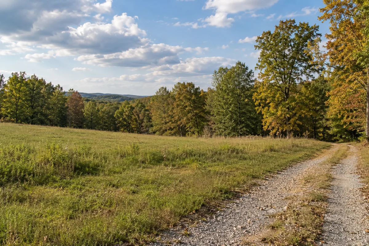 Gravel farm lane beside rolling pasture and autumn hardwood trees