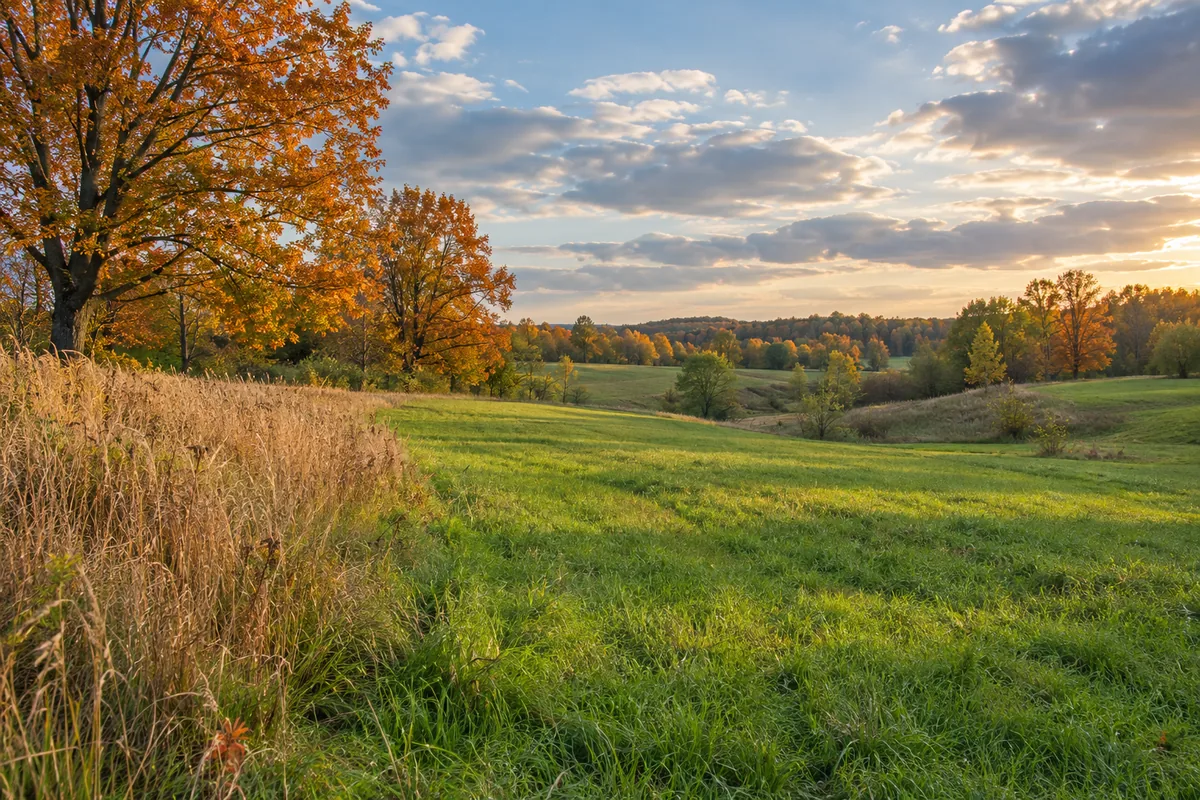 A green meadow rolls past tawny grass and maples with orange autumn leaves