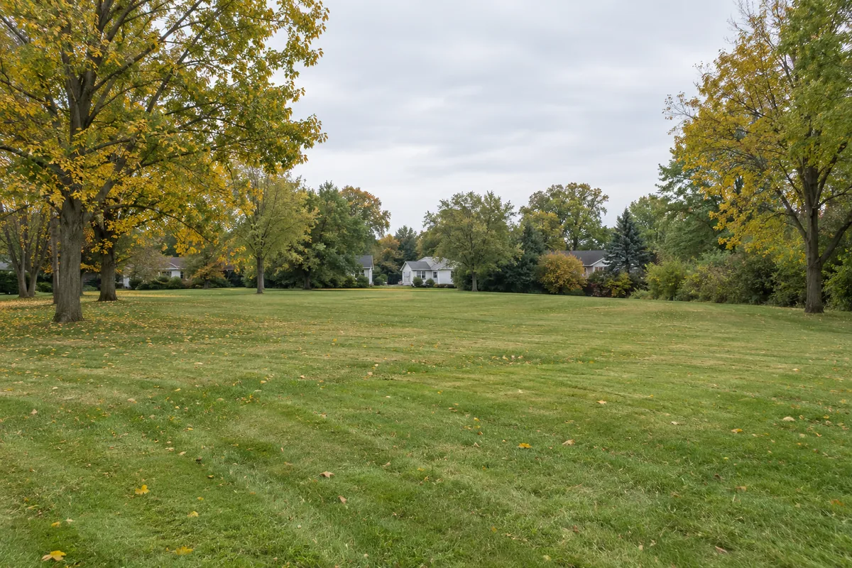 An open grassy lot sits between autumn maples with homes along the distant tree line