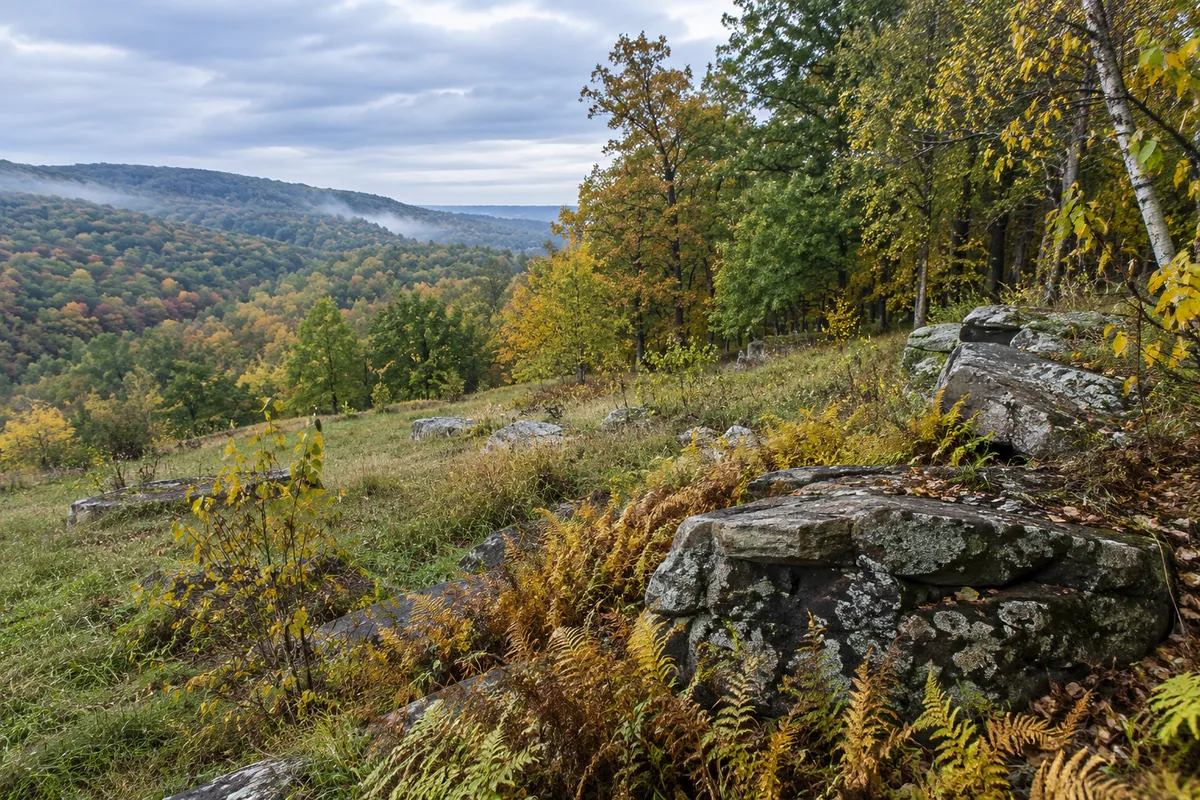 Ferns and weathered rocks border a grassy clearing below wooded Pennsylvania ridges in autumn