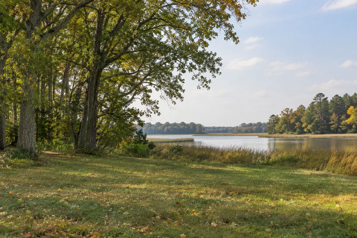 Grassy clearing and autumn trees beside a calm inlet on Maryland’s Eastern Shore