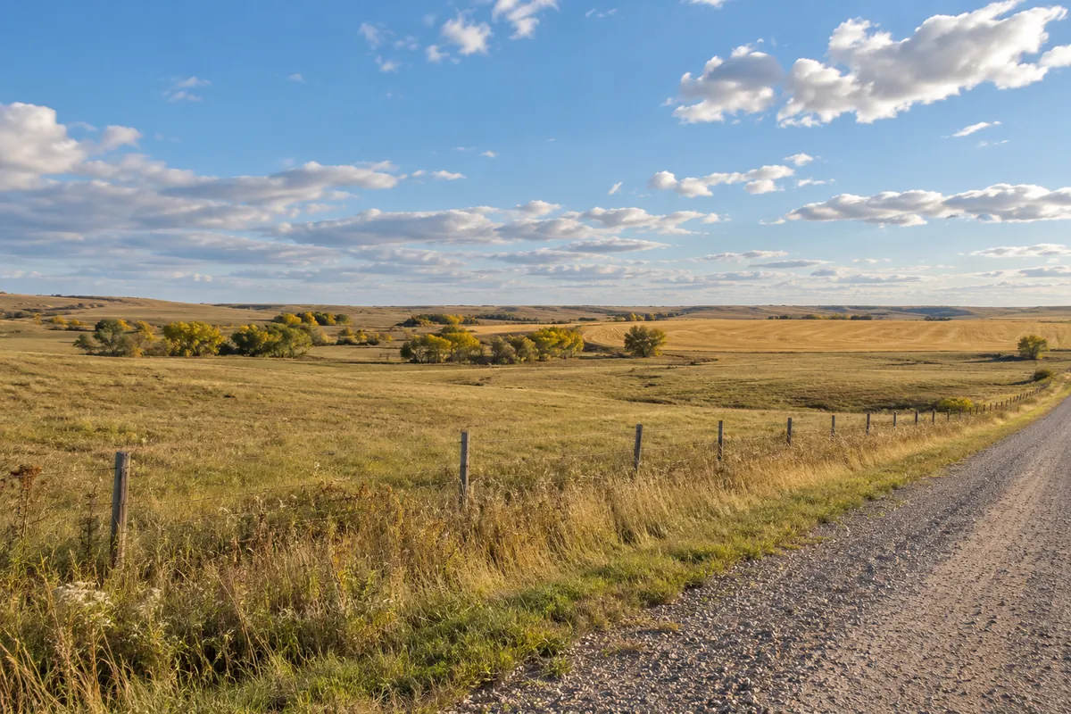 Open prairie pasture beside a gravel road in northern South Dakota