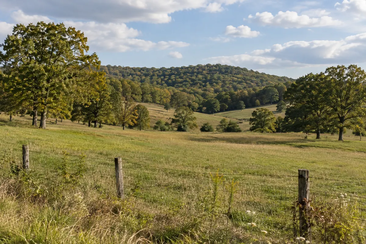 A wire fence and oak trees on gently rolling pasture