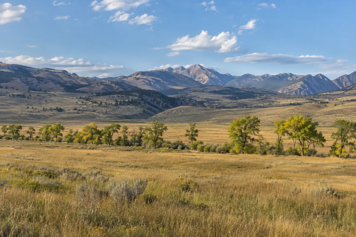 A broad grassland valley beneath distant mountains