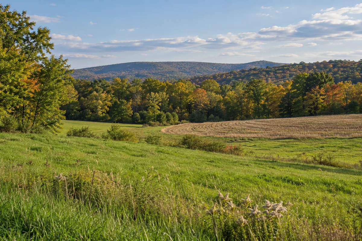 Rolling green meadow and a harvested field beside autumn trees and a low wooded ridge