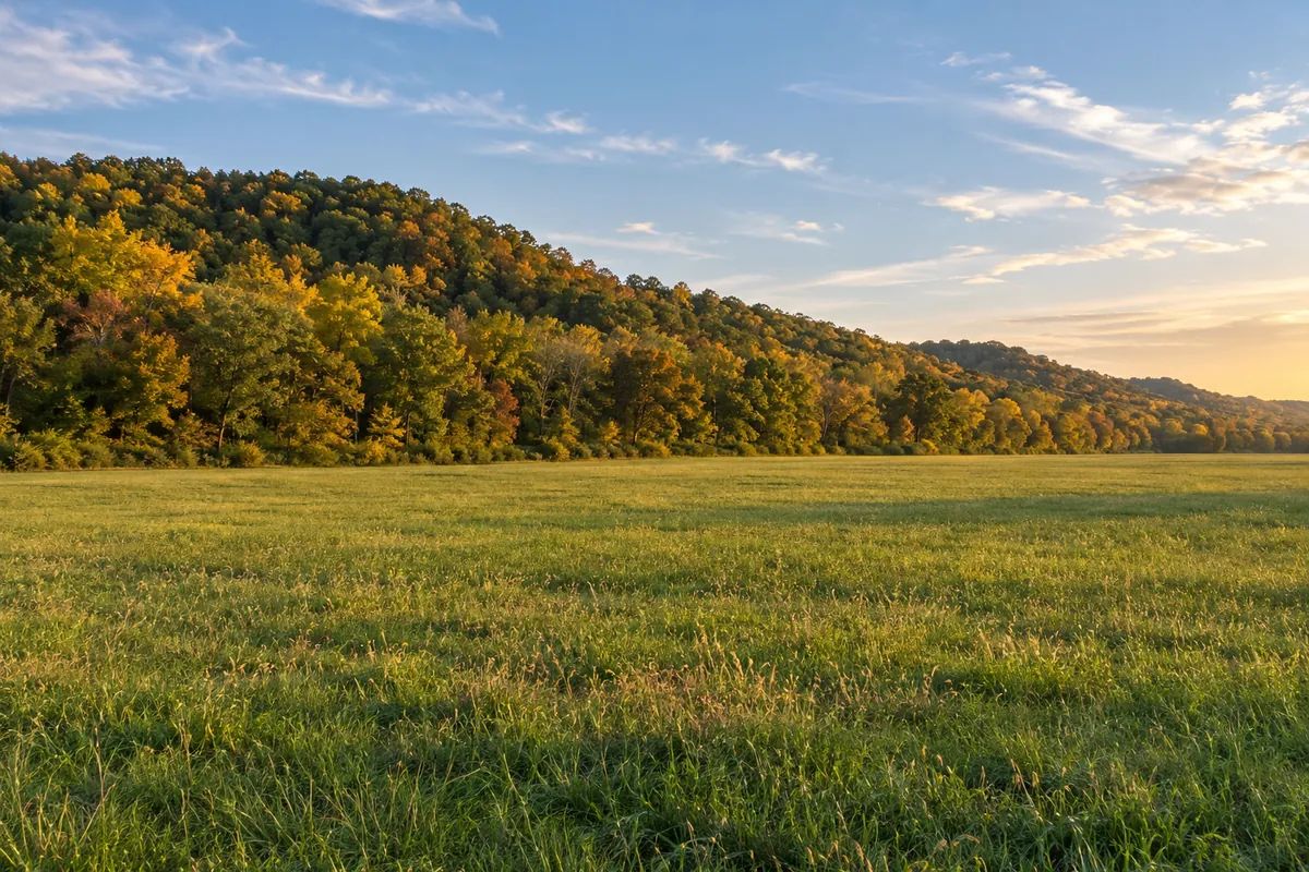 Open field below gently wooded hills in autumn