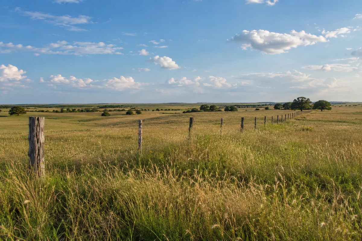 Open grassland beside a weathered fence under a wide Texas sky