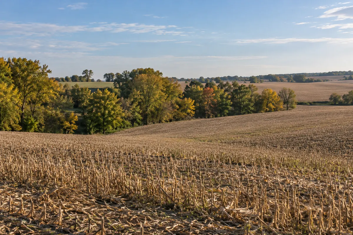 A harvested Northern Illinois field with autumn trees along its edge